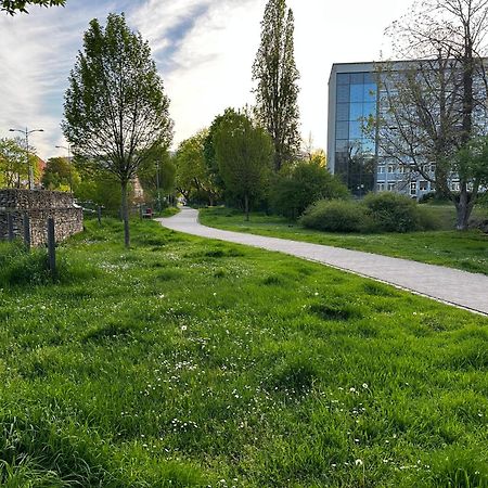 Speyerbach - Modernes Apartment Nahe Neustadter Innenstadt Neustadt an der Weinstraße Eksteriør billede